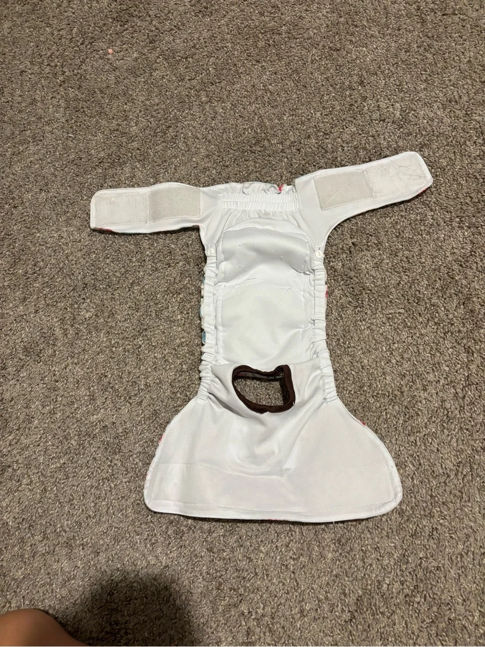 Cute bone soft reusable